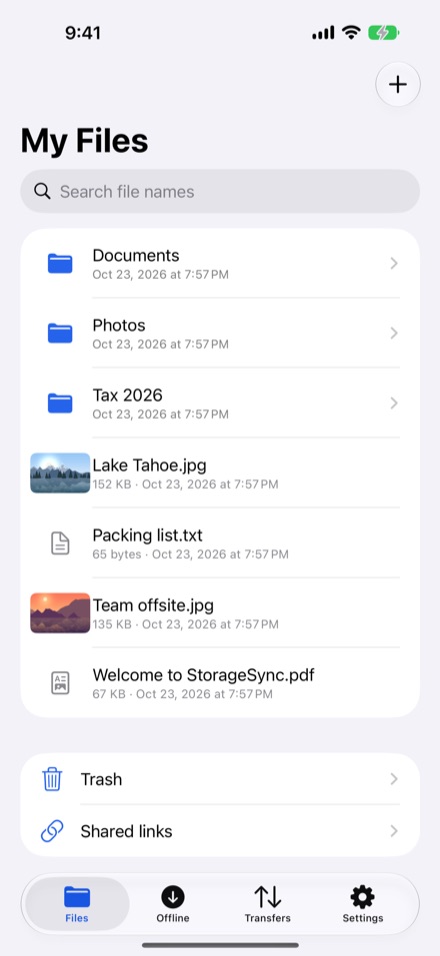 StorageSync on iPhone: the My Files list showing folders, files with thumbnails, and a search field for file names