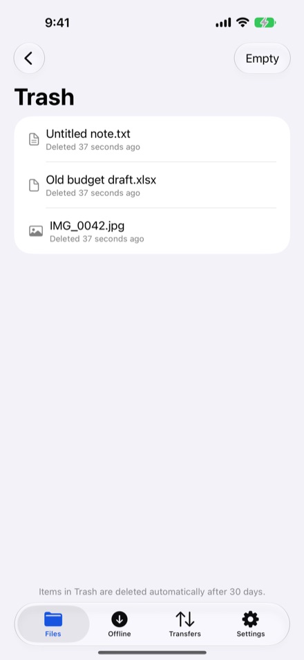 StorageSync on iPhone: the Trash screen listing deleted files, with a note that items are deleted automatically after 30 days